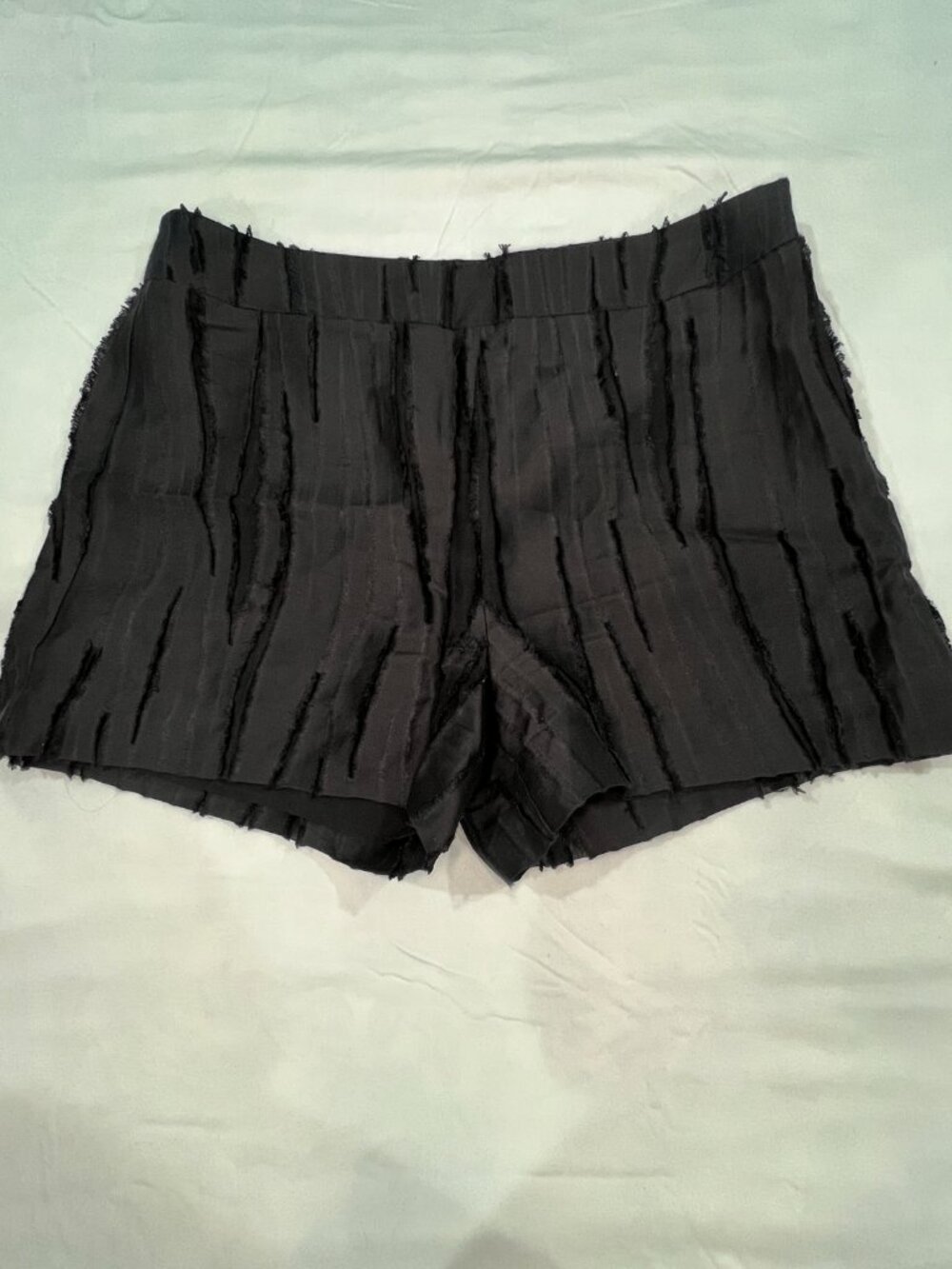 NWOT Marie Oliver Black Textured Fringe Lined Shorts Size 8